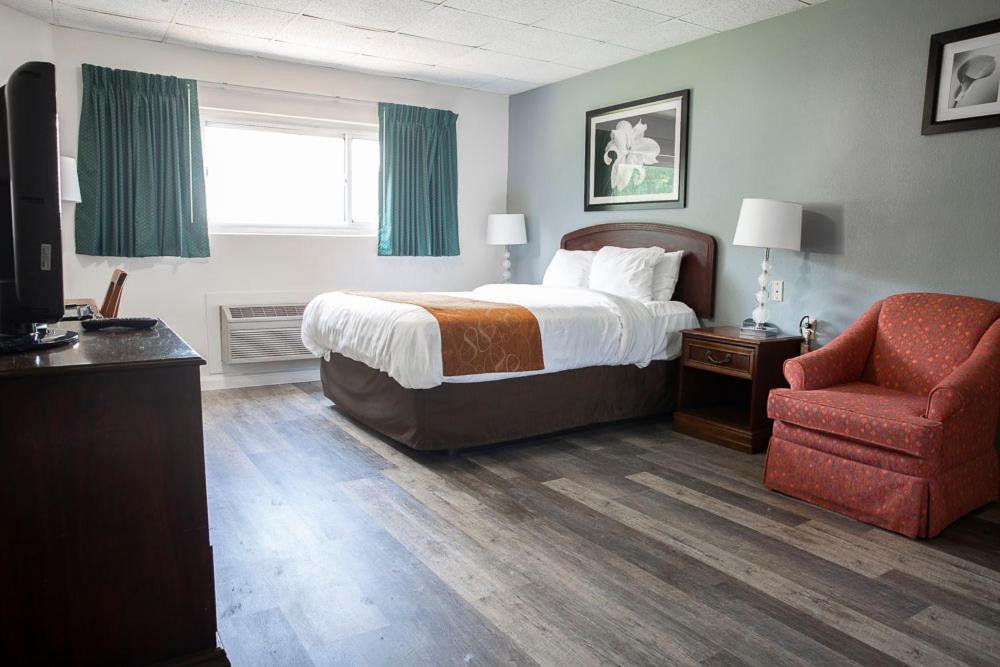 Bedford Motel Extérieur photo