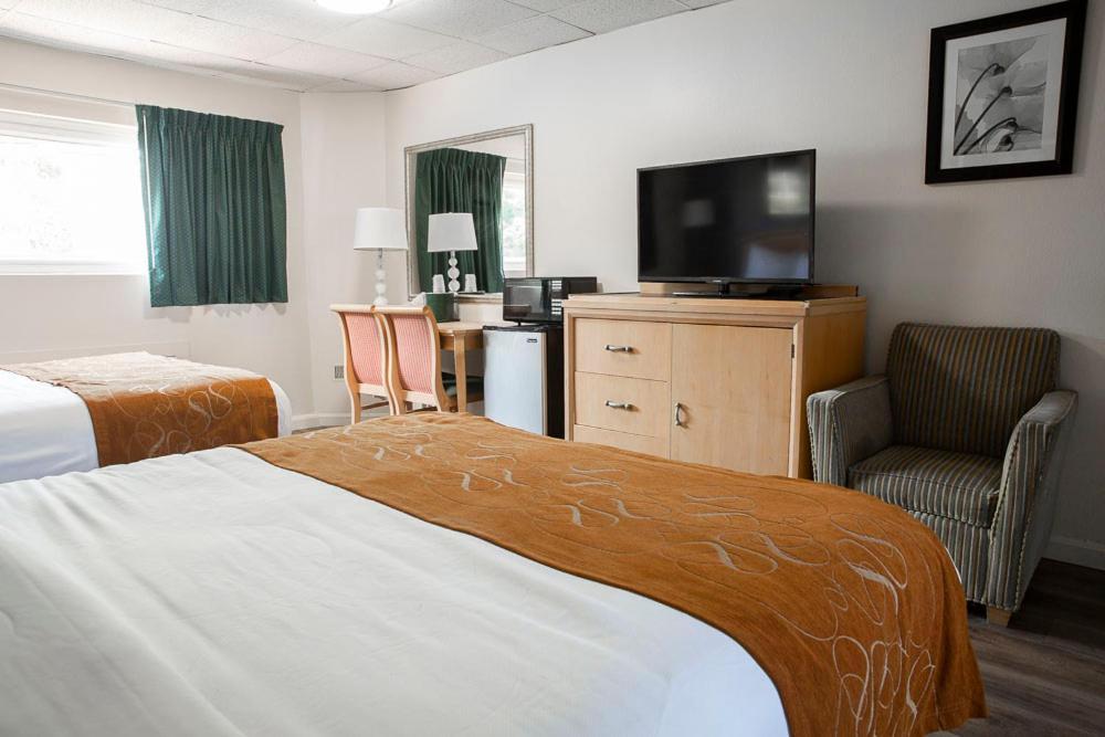 Bedford Motel Extérieur photo