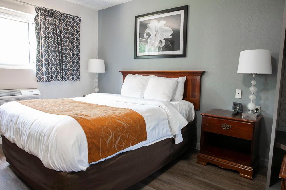 Bedford Motel Extérieur photo