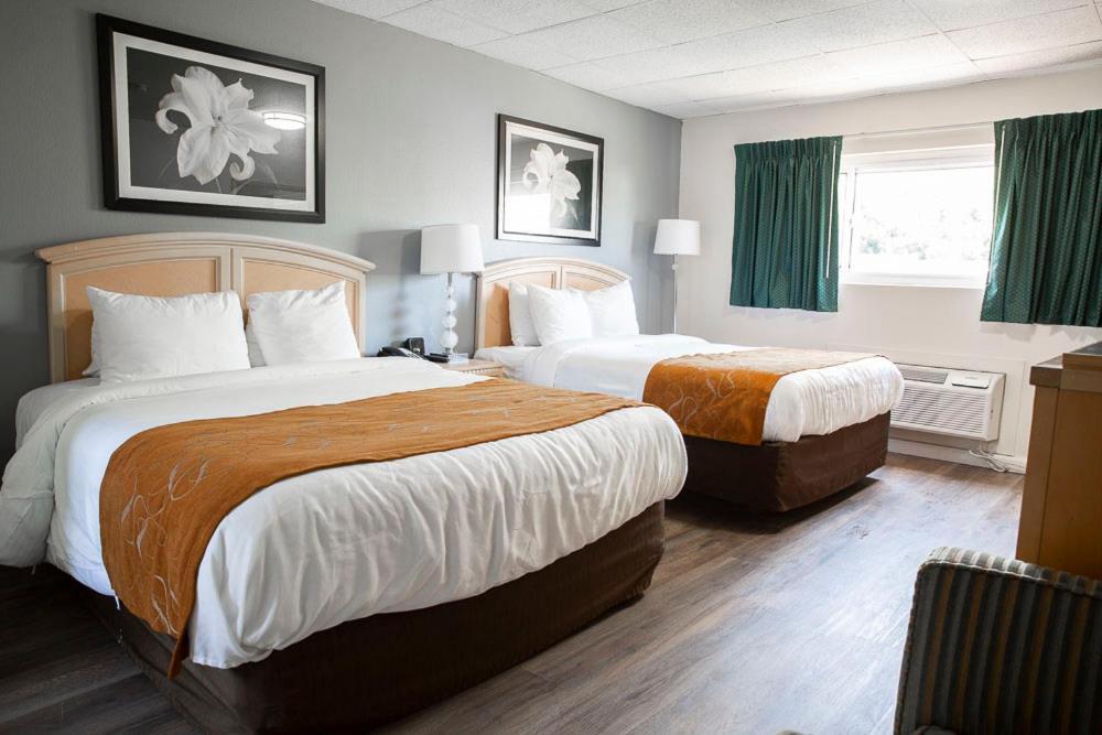 Bedford Motel Extérieur photo