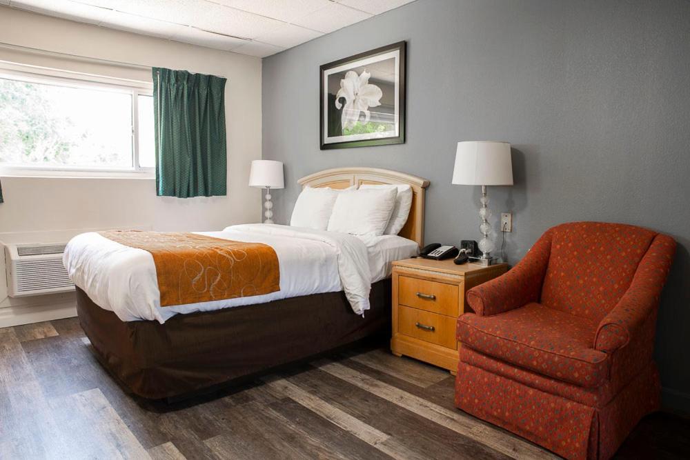 Bedford Motel Extérieur photo