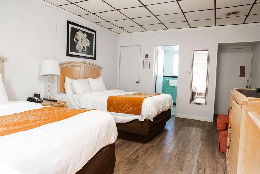 Bedford Motel Extérieur photo