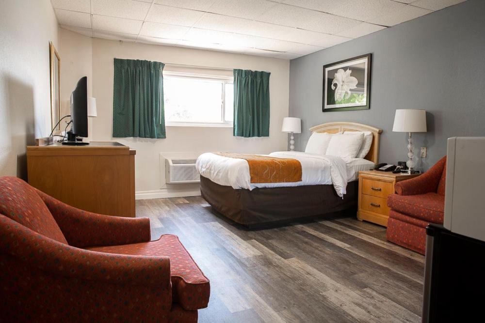 Bedford Motel Extérieur photo