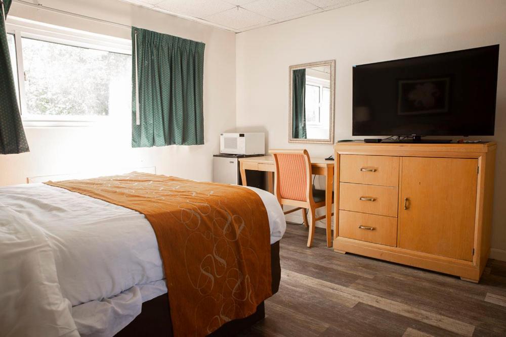 Bedford Motel Extérieur photo