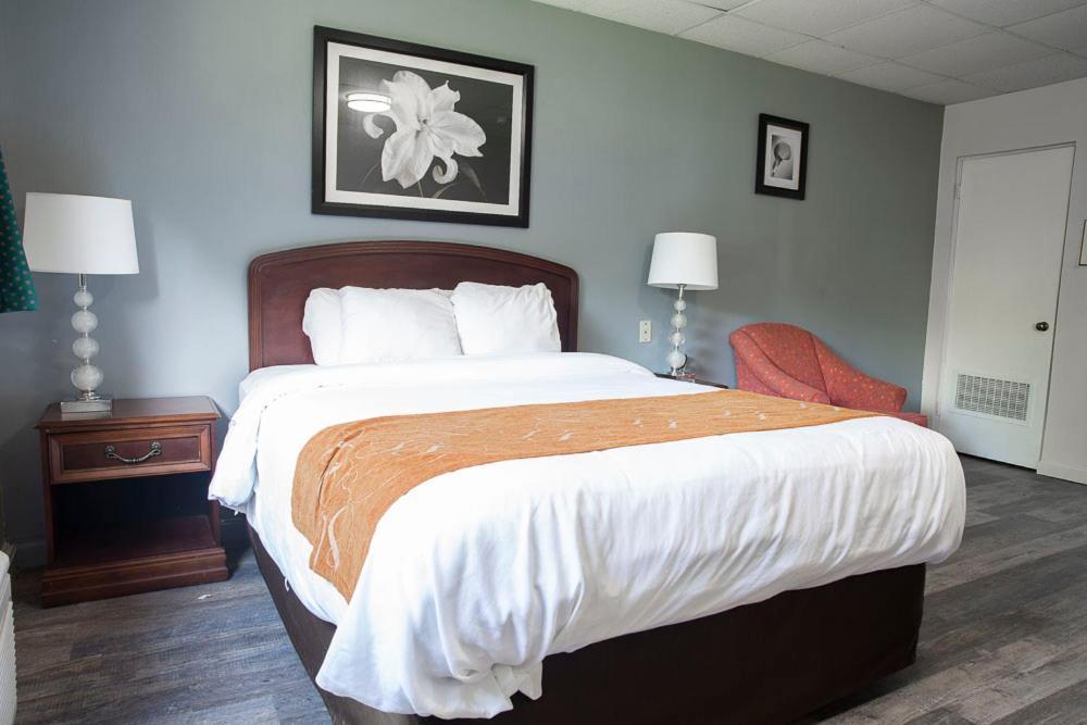 Bedford Motel Extérieur photo