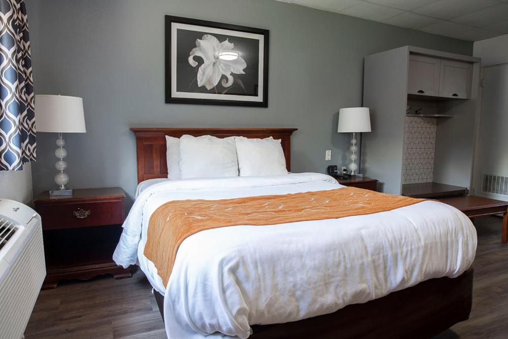 Bedford Motel Extérieur photo