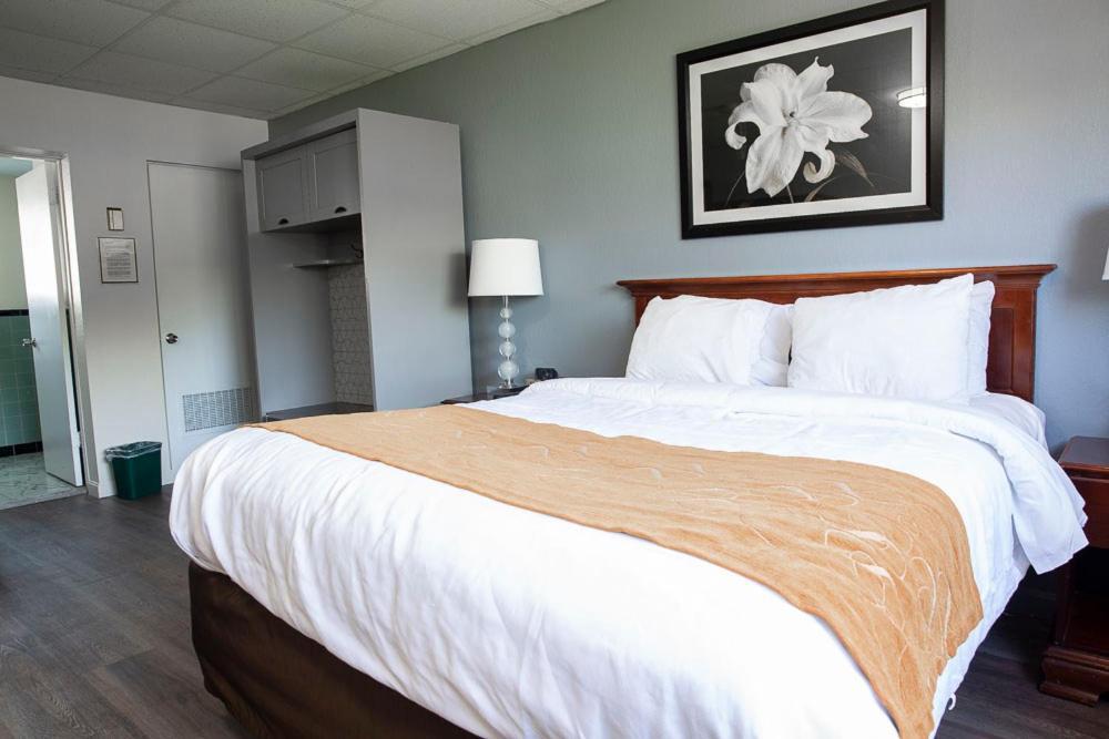 Bedford Motel Extérieur photo