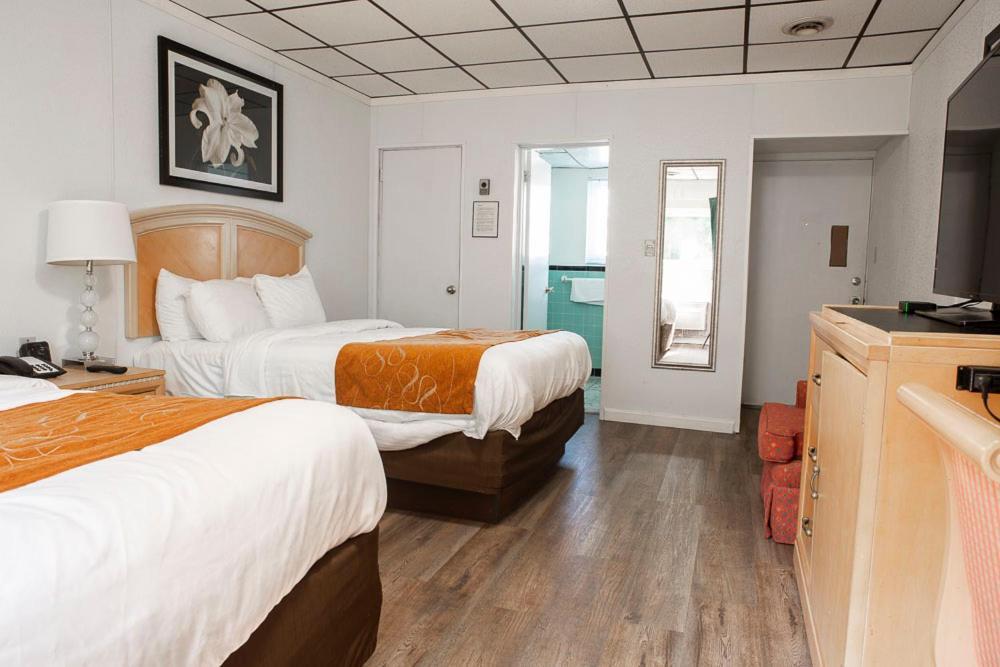 Bedford Motel Extérieur photo