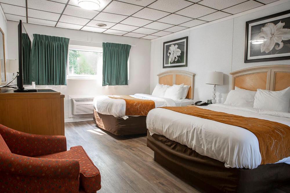 Bedford Motel Extérieur photo
