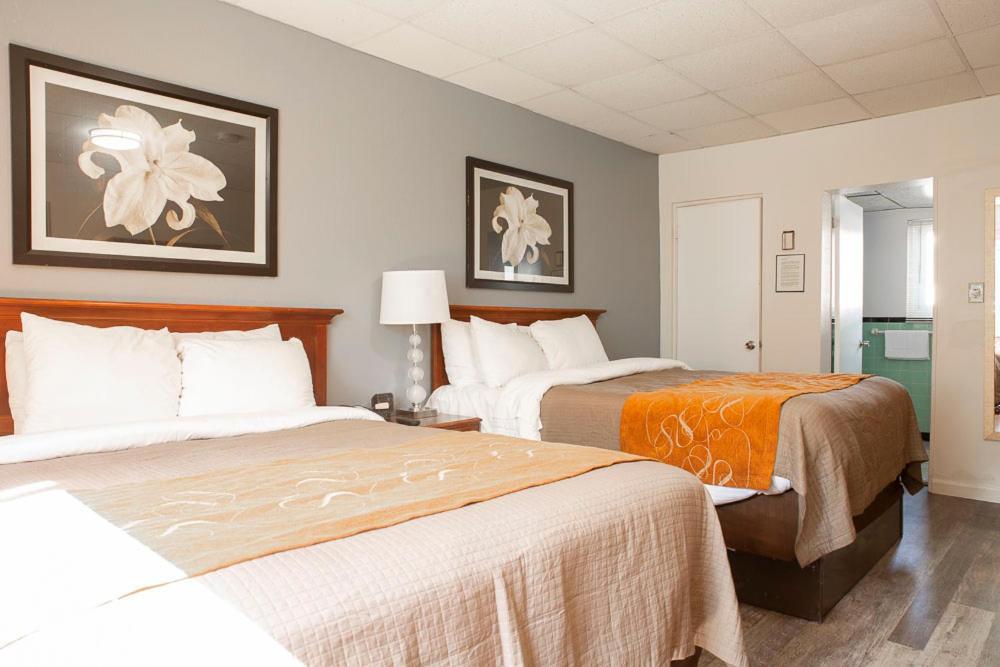 Bedford Motel Extérieur photo