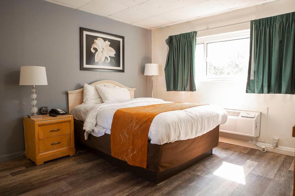 Bedford Motel Extérieur photo