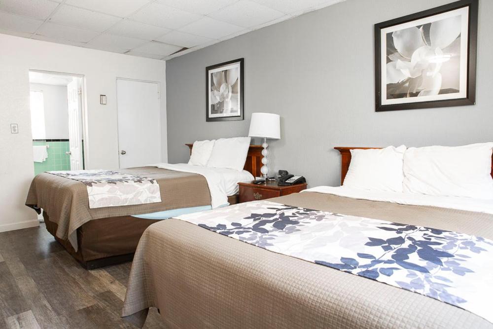 Bedford Motel Extérieur photo