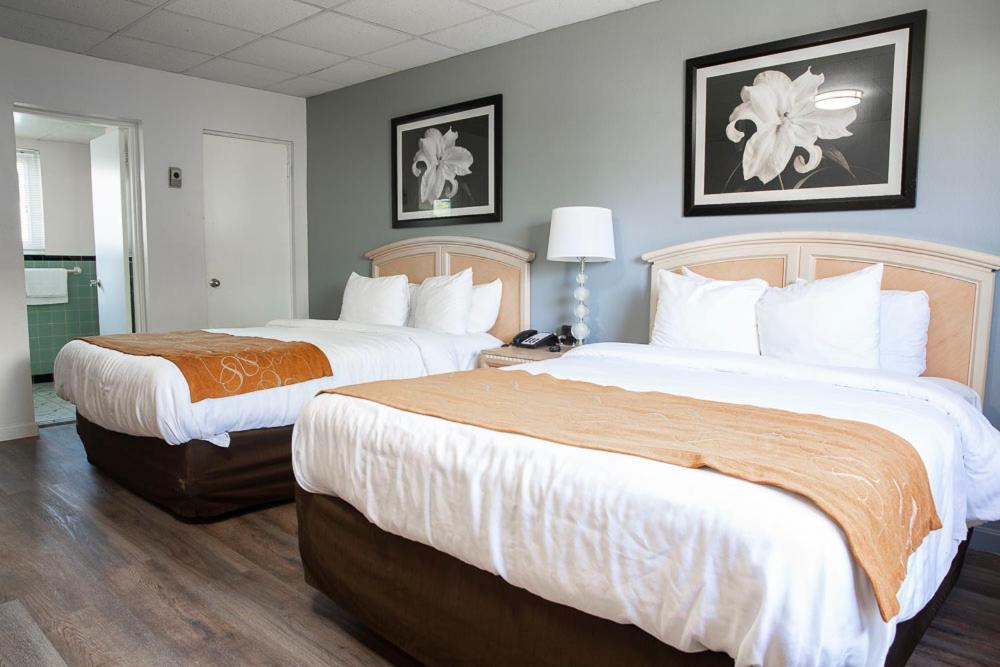 Bedford Motel Extérieur photo