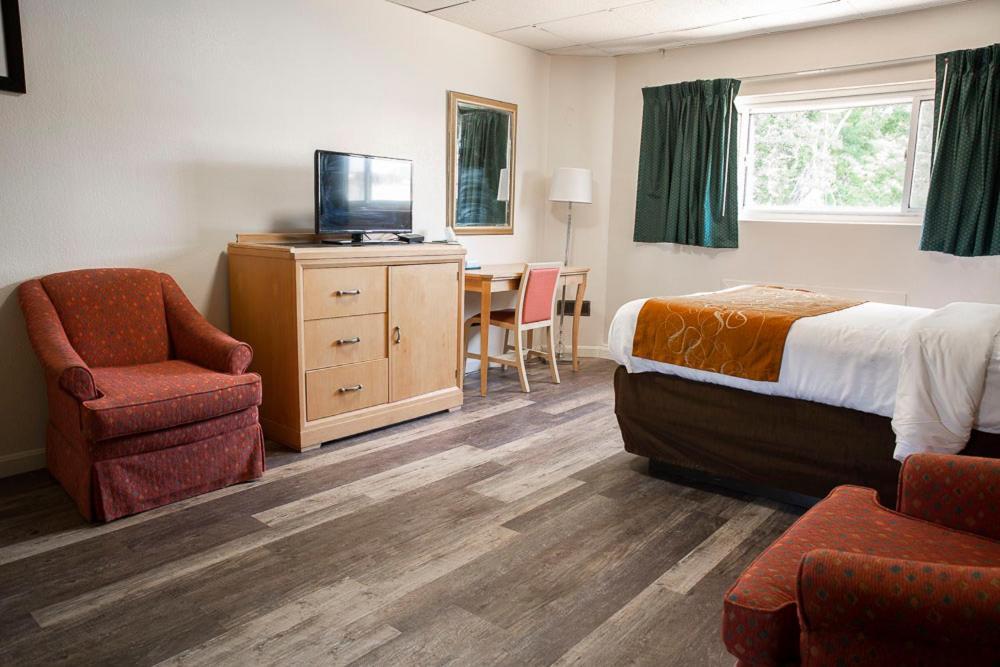 Bedford Motel Extérieur photo