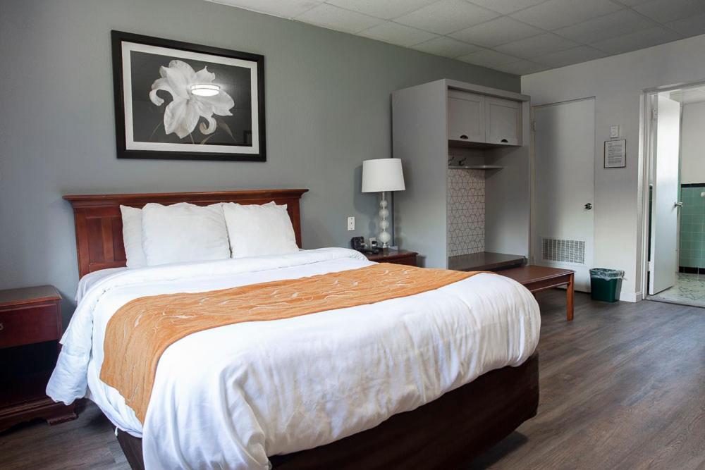Bedford Motel Extérieur photo