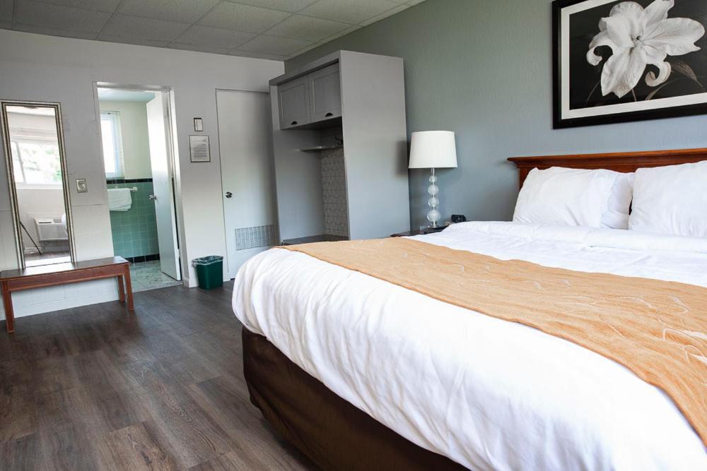 Bedford Motel Extérieur photo