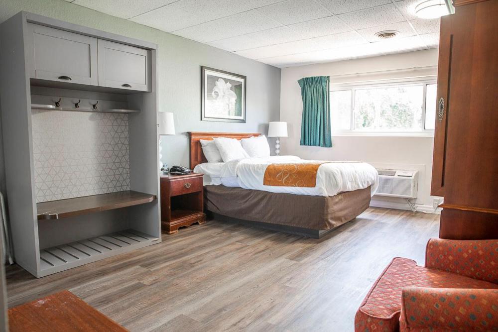 Bedford Motel Extérieur photo