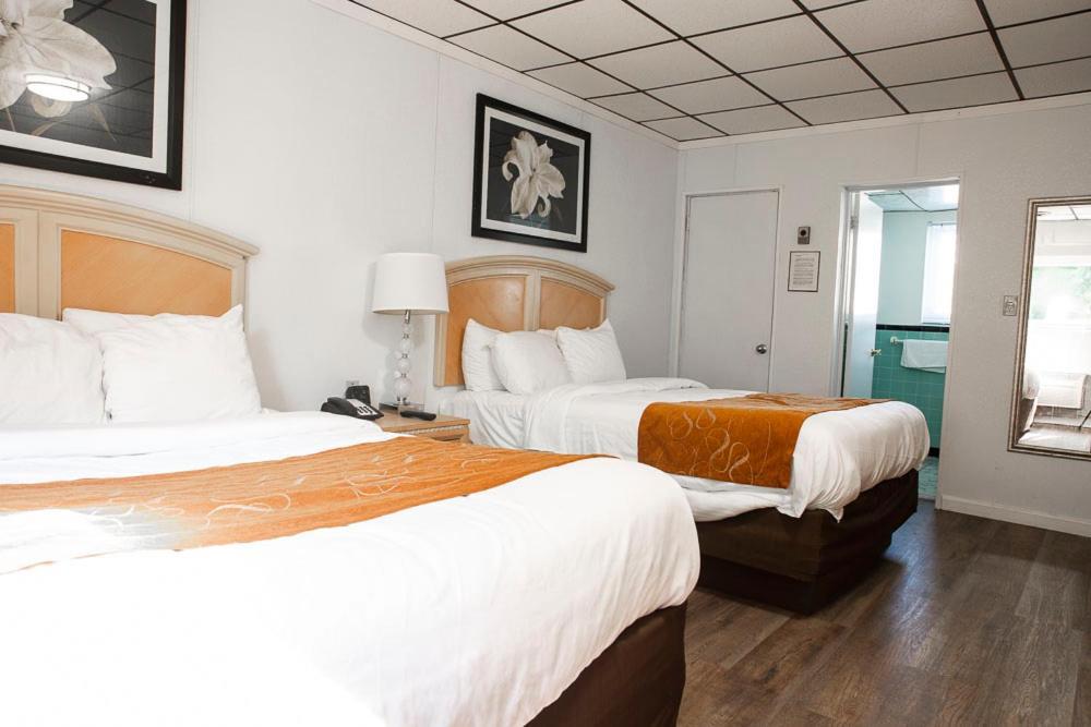 Bedford Motel Extérieur photo