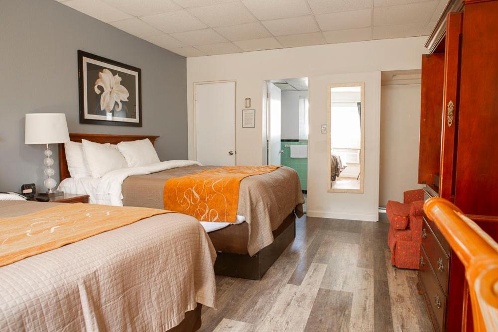 Bedford Motel Extérieur photo