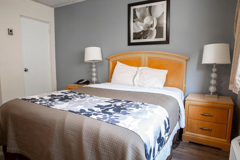 Bedford Motel Extérieur photo