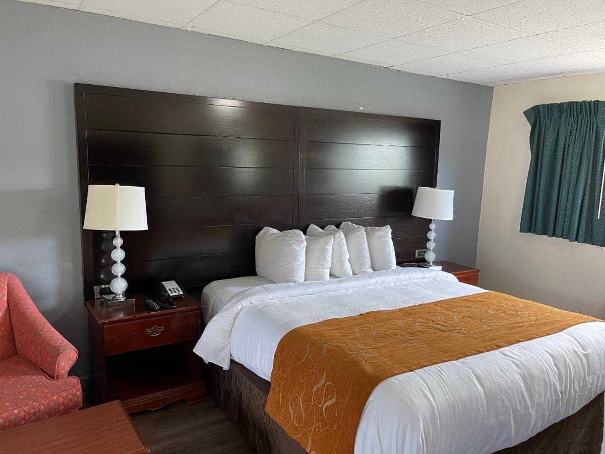 Bedford Motel Extérieur photo